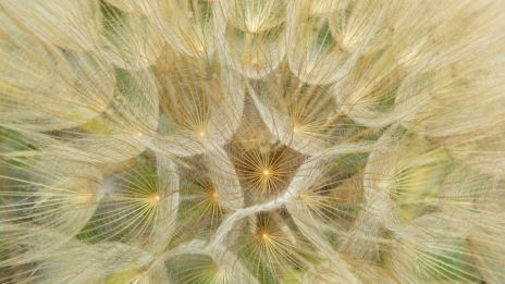 Änglabudskap - Ditt ljus behöver inte be o lov.