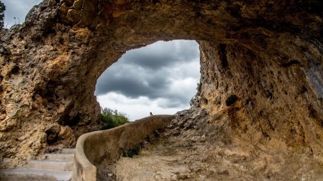 Disablotet hyllar livskraften