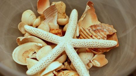 Minnen som du skapar