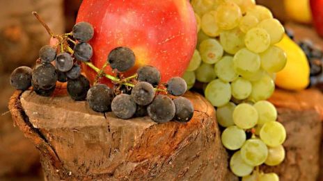 Möta våra rädslor