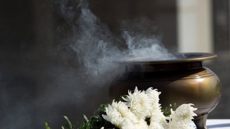 Myskgräsets magiska användning