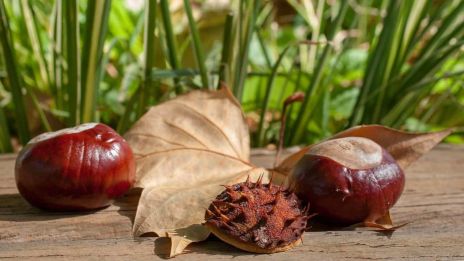 När vi ber om hjälp