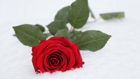 När vintern vägrar att ge sig