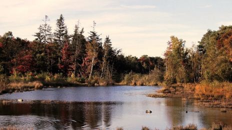 Nu blåser nya vindar….