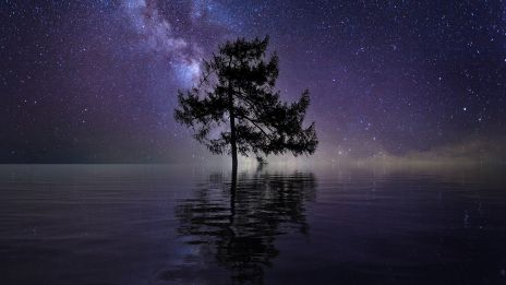 Nu har mörkret kommit fram