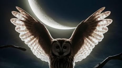 Nu hoar ugglorna i natten….