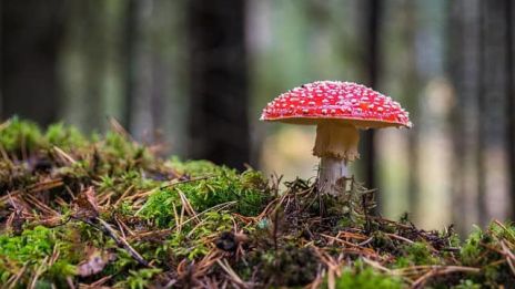 Nu kommer hösten