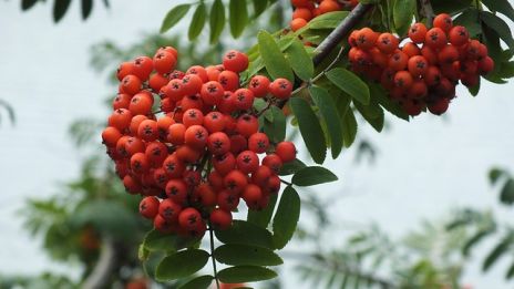 Nummer 11 som änglatal – idag