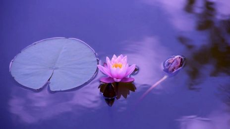 Nymånen i Jungfrun….