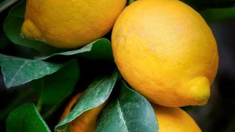 Observera vad som händer