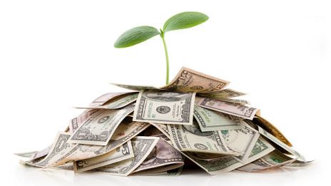 Pengarnas magiska örter