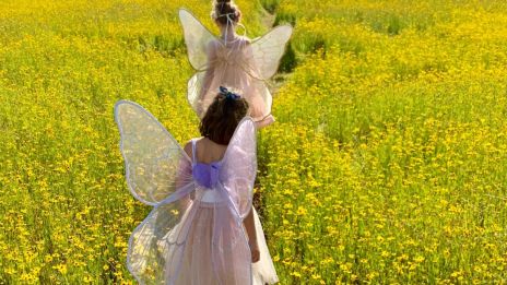 Peri – Förtrollande Väsen i Turkisk Folklore