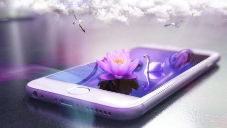 Plinga mig gärna!❤️