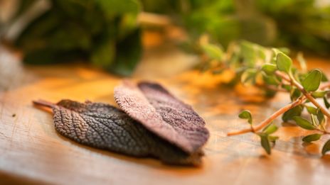 Salvia, växten som viskar med andarna (ur mormors bok)