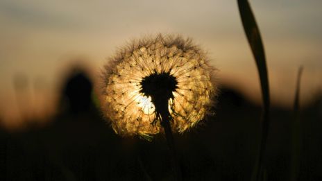 Dagens tarot: När glädjen blir till en styrka