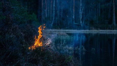 Sköna maj välkommen…. 