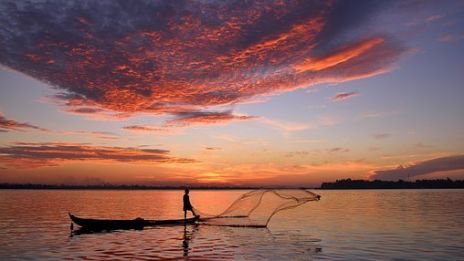 Skönhetens pris….