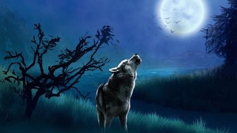 Skorpionens måne skiner ikväll