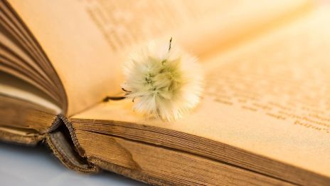 Slutspurten på ditt drömlexikon