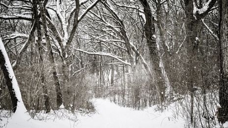 Snökaos utanför fönstret