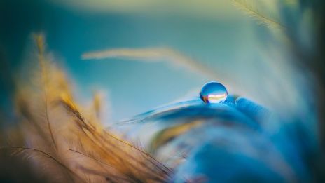 Solen i Vågen: Sökandet efter harmoni och balans