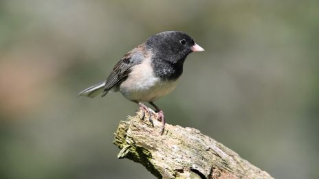 Så använder du mantran för inre lugn