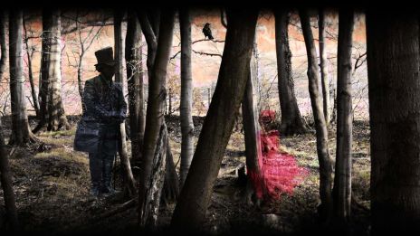 Spöken och poltergeists