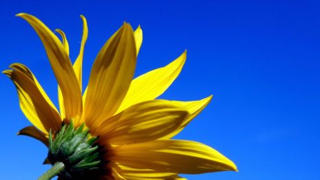 Ställ frågor och ha krav