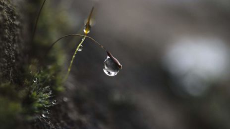 Stora saker i ditt liv