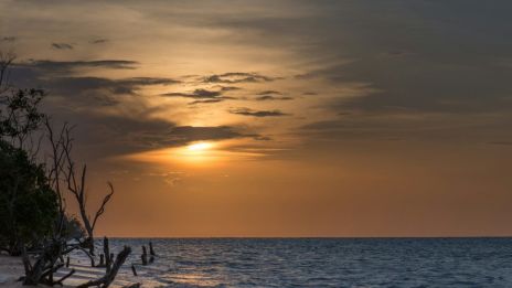 Surinam – Ett Levande Vävverk av Kulturer, Språk och Traditioner