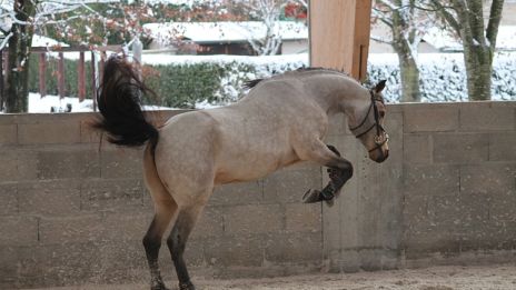 Ta bort hinder i ditt liv!