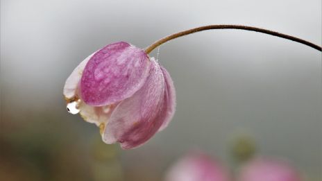 Ta en titt på dig själv