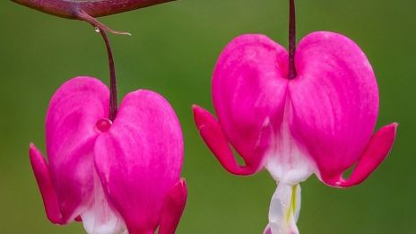 Ta inte in negativa känslor