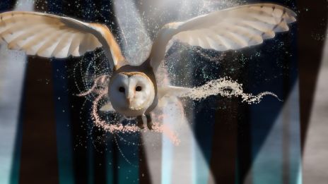 Tarot och medberoende – Djävulen och Solen som budskap om frihet