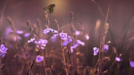 Tid för nya drömmar.