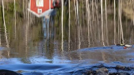 Under nymånen i september