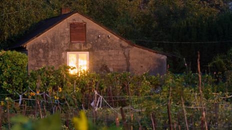 Släpp taget ikväll