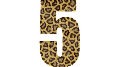 Vad betyder änglanummer 5 ?