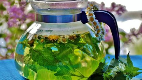 Vårens alla magiska örter