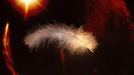 Varför ett medium inte alltid ger det svar du vill ha – andlig vägledning och inre sanning