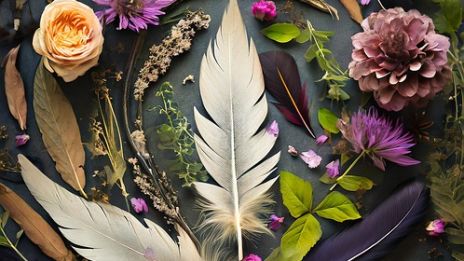 Varför silvertroll?