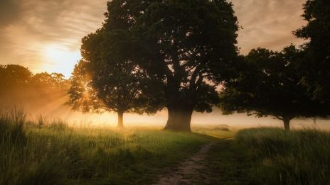 Vėlinės – En Ljusfest för Minnen och Reflektion