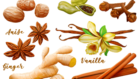 Vidare på kryddornas väg…