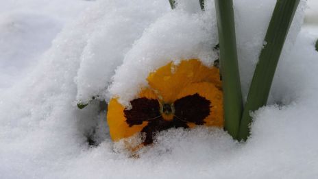 Vinter, kyla och hopp