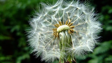 Dagens tarot – Där slut blir början