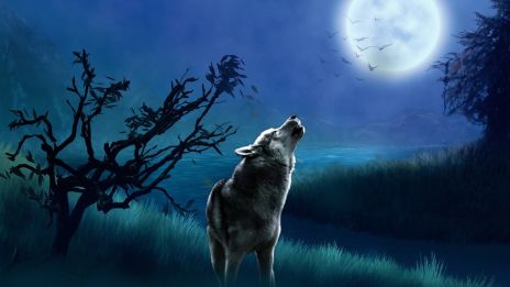 En port mellan det som varit och det som vill födas