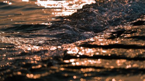 Dagens tarot – välj det som känns sant