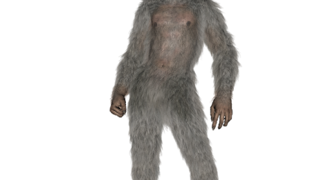Pubeshår
