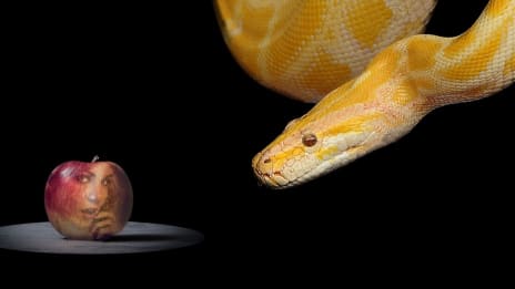 Paratiisi puhelinseksi