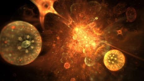 Å drømme om mennesker fra fortiden